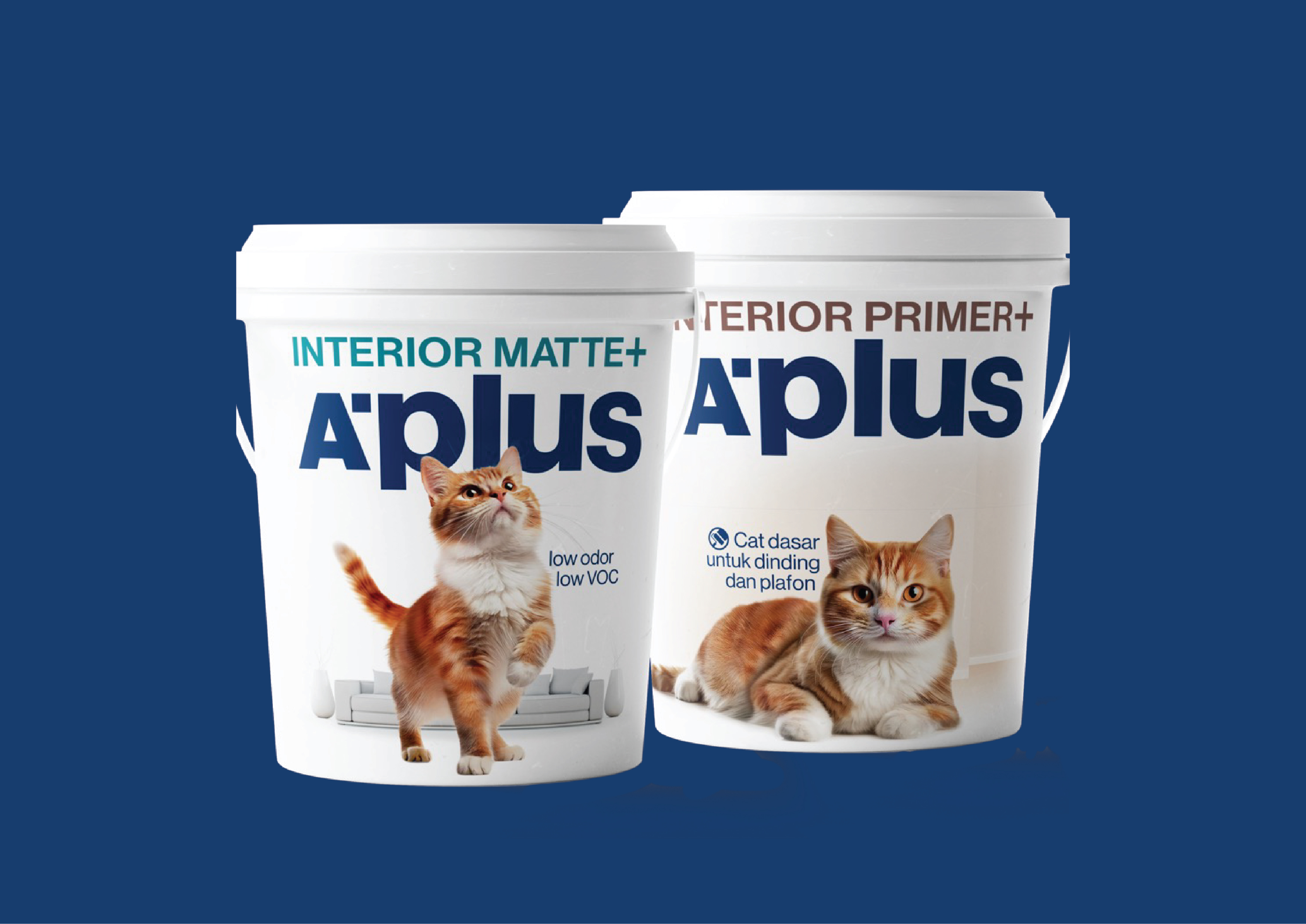 APLUS