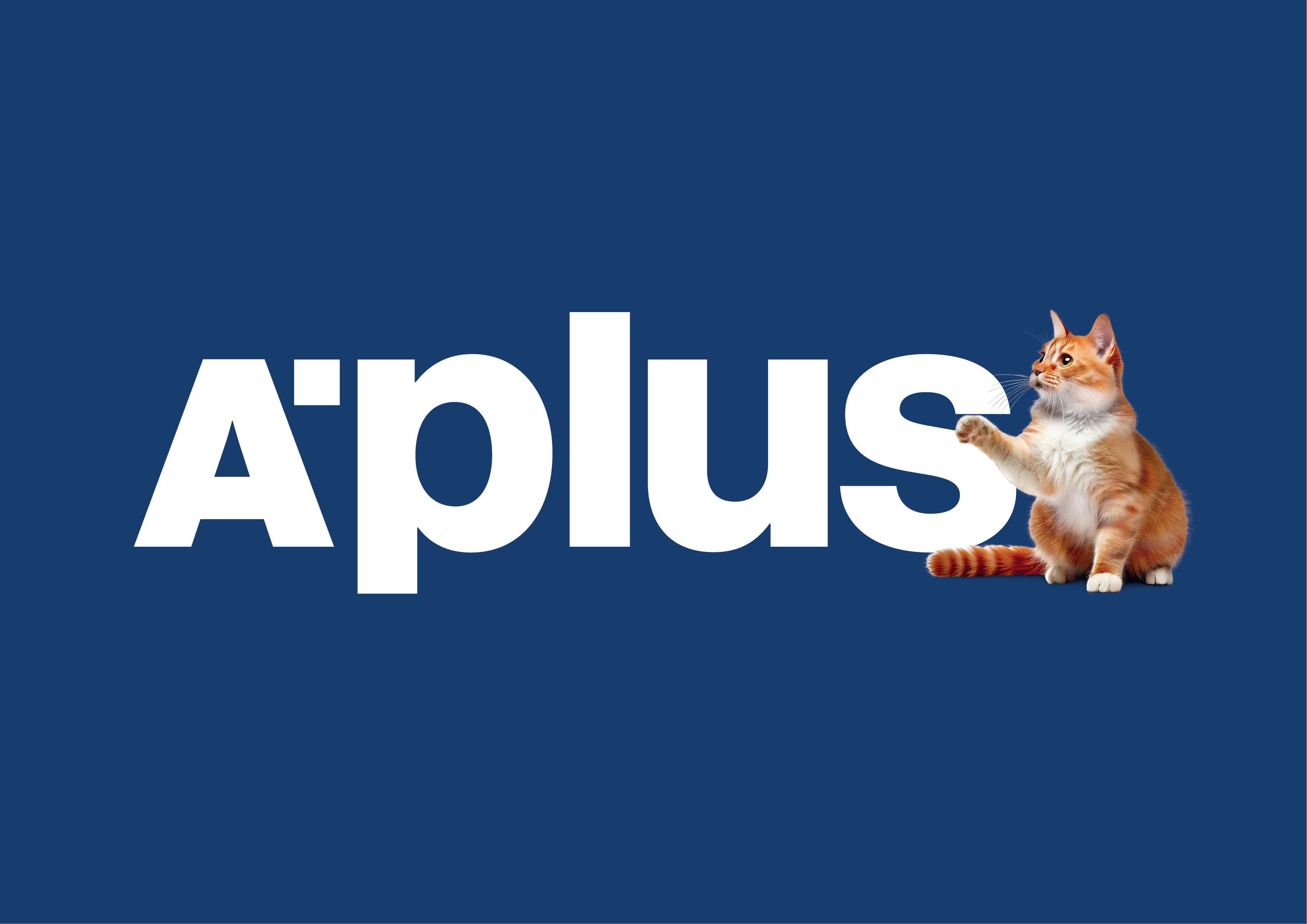 APLUS